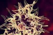 അമീബിക് മസ്തിഷ്ക ജ്വരം ബാധിച്ച് ചിറയിൻകീഴ് സ്വദേശിനി മരിച്ചു; ഈ വർഷം ഇതുവരെ മരിച്ചത് 31 പേർ