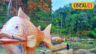 Meenpidi para Meenpidi para