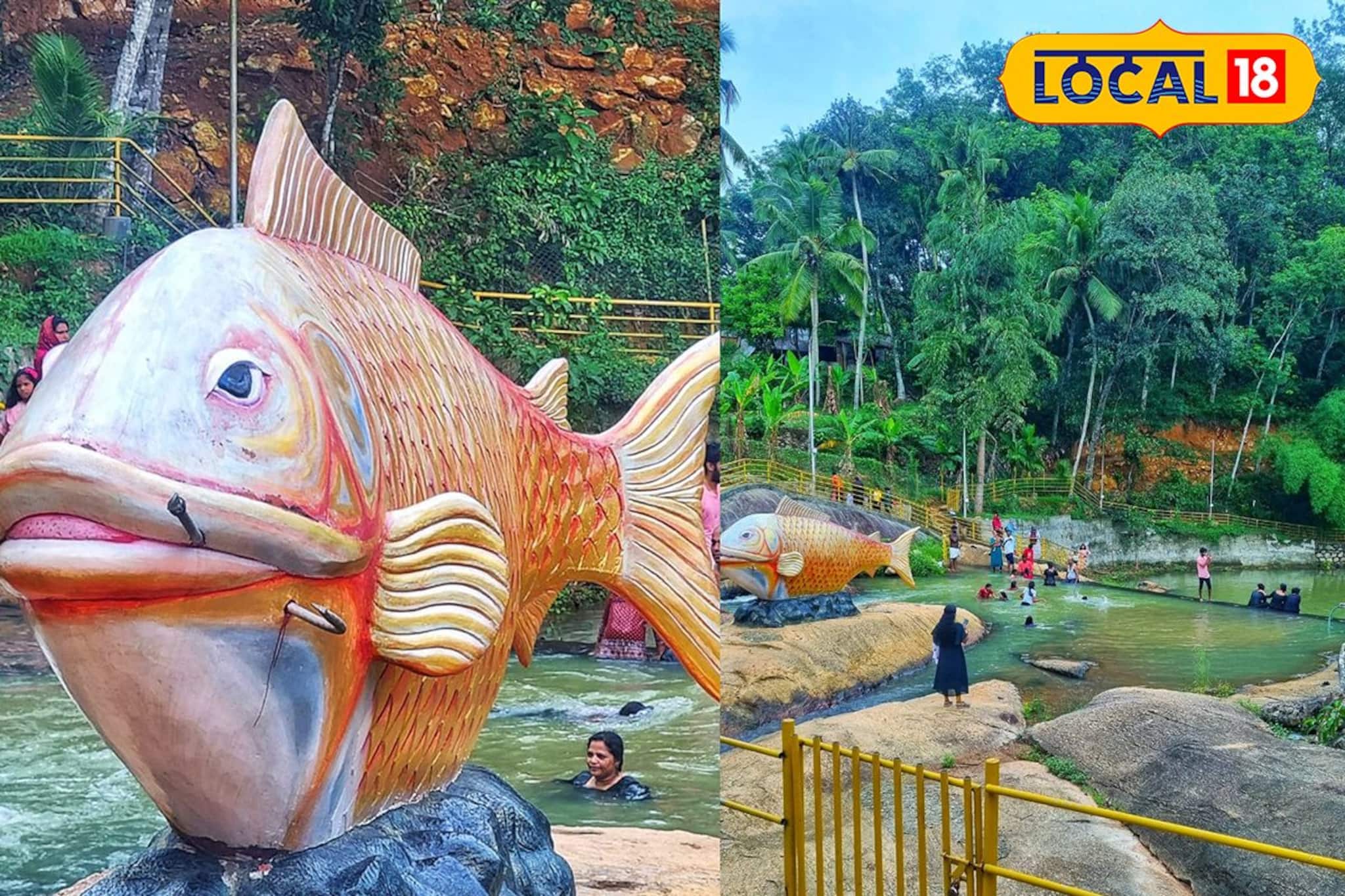 മീൻപിടിപ്പാറ: കൊട്ടാരക്കരയിലെ പ്രകൃതി രമണീയമായ കുടുംബ വിനോദ കേന്ദ്രം