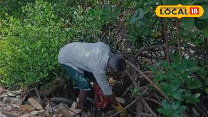 കണ്ടൽകാടുകൾക്കിടയിൽ നിന്ന് മാലിന്യം ശേഖരിക്കുന്ന കണ്ടൽ സുരേന്ദ്രൻ