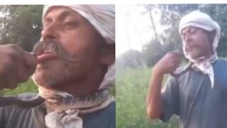 കൃഷിയിടത്തിലെത്തിയ പാമ്പിനെ ചുംബിക്കാന് ശ്രമിച്ച കര്ഷകനെ പാമ്പ് കൊത്തുകയായിരുന്നു കൃഷിയിടത്തിലെത്തിയ പാമ്പിനെ ചുംബിക്കാന് ശ്രമിച്ച കര്ഷകനെ പാമ്പ് കൊത്തുകയായിരുന്നു