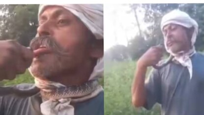 കൃഷിയിടത്തിലെത്തിയ പാമ്പിനെ ചുംബിക്കാന് ശ്രമിച്ച കര്ഷകനെ പാമ്പ് കൊത്തുകയായിരുന്നു കൃഷിയിടത്തിലെത്തിയ പാമ്പിനെ ചുംബിക്കാന് ശ്രമിച്ച കര്ഷകനെ പാമ്പ് കൊത്തുകയായിരുന്നു