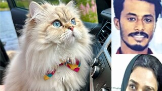 കൊല്ലപ്പെട്ട ആഷിഖ്,  പ്രതി ഷഹാന