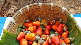 cashew nuts cashew nuts