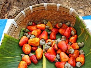 cashew nuts