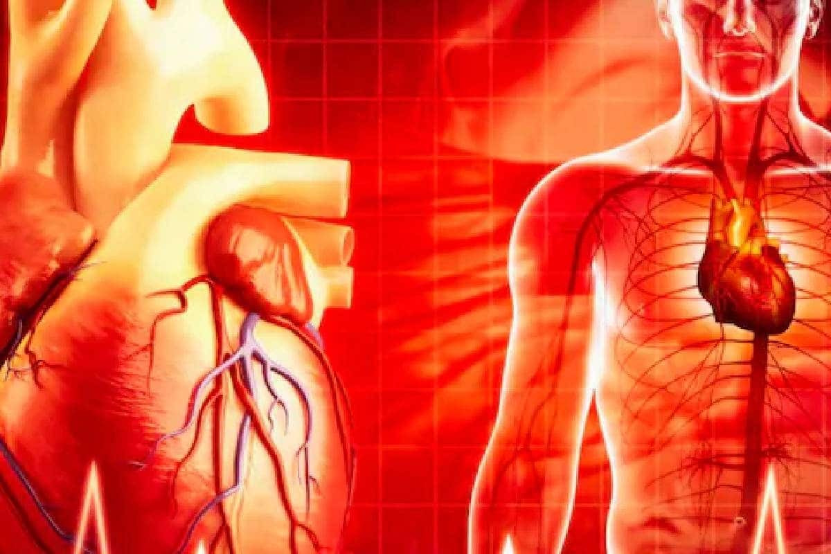 Heart Attack: 'താടിയെല്ലിലെ വേദന മുതൽ ഇടതു കൈയ്യിലെ തളര്ച്ച വരെ'; ശരീരം കാണിക്കുന്ന ഈ ലക്ഷണങ്ങൾ നിസാരമാക്കരുത്