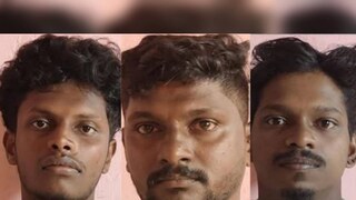 പത്തനംതിട്ടയിലെ സീതത്തോടാണ് സംഭവം