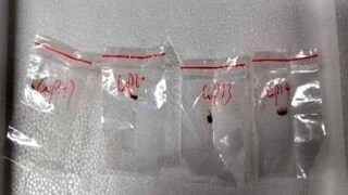 യുഎസിലേക്ക് അപകടകരമായ ഫംഗസ് കടത്താന്‍ ശ്രമം നടത്തിയ രണ്ട് ചൈനീസ് പൗരന്മാർക്കെതിരെ കേസെടുത്തു
