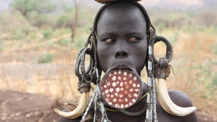 Mursi tribe, Know about Mursi tribe, Mursi tribe from Ethiopia, woman cutting off important body parts for beauty ,Mursi tribe viral, know about Mursi tribe,  Mursi tribe woman's,  Mursi tribe woman lip tradition , Mursi tribe woman culture, Mursi tribe culture , Mursi tribe viral , Mursi tribe latest , Mursi tribe photos , Mursi tribe language, Mursi tribe, africa, mursi, african tribe, african tribe culture, beauty lip plates, forest dwellers of africa, lip plate tradition, lip plates of african tribe, mursi tribe, surma tribe, Mursi Tribe, Ethiopian tribes,  Omo Valley, , tribal beauty standards, മുർസി, മുർസി ഗോത്രം ,മുർസി ഗോത്ര സ്ത്രീകൾ ,മുർസി ഗോത്രം വൈറൽ ,മുർസി ഫോട്ടോസ് , മുർസി വൈറൽ, മുർസി ഗോത്രം ആചാരങ്ങൾ ,മുർസി വസ്ത്രം ,മുർസി ഗോത്രം ചരിത്രം , മുർസി ഭാഷ , മുർസി സ്ത്രീകൾ , സൗന്ദര്യം കൂട്ടാനായി,ശരീരത്തിലെ പ്രധാന ഭാഗങ്ങൾ,മുറിച്ചുമാറ്റുന്ന സ്ത്രീകൾ,മുർസി ഗോത്രത്തെ പരിചയപ്പെടാം,എത്യോപ്യ,സുർമിക് വംശീയ വിഭാഗം 