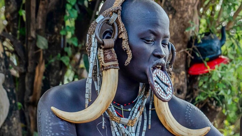 Mursi tribe, Know about Mursi tribe, Mursi tribe from Ethiopia, woman cutting off important body parts for beauty ,Mursi tribe viral, know about Mursi tribe,  Mursi tribe woman's,  Mursi tribe woman lip tradition , Mursi tribe woman culture, Mursi tribe culture , Mursi tribe viral , Mursi tribe latest , Mursi tribe photos , Mursi tribe language, Mursi tribe, africa, mursi, african tribe, african tribe culture, beauty lip plates, forest dwellers of africa, lip plate tradition, lip plates of african tribe, mursi tribe, surma tribe, Mursi Tribe, Ethiopian tribes,  Omo Valley, , tribal beauty standards, മുർസി, മുർസി ഗോത്രം ,മുർസി ഗോത്ര സ്ത്രീകൾ ,മുർസി ഗോത്രം വൈറൽ ,മുർസി ഫോട്ടോസ് , മുർസി വൈറൽ, മുർസി ഗോത്രം ആചാരങ്ങൾ ,മുർസി വസ്ത്രം ,മുർസി ഗോത്രം ചരിത്രം , മുർസി ഭാഷ , മുർസി സ്ത്രീകൾ , സൗന്ദര്യം കൂട്ടാനായി,ശരീരത്തിലെ പ്രധാന ഭാഗങ്ങൾ,മുറിച്ചുമാറ്റുന്ന സ്ത്രീകൾ,മുർസി ഗോത്രത്തെ പരിചയപ്പെടാം,എത്യോപ്യ,സുർമിക് വംശീയ വിഭാഗം 