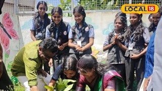 പ്ലാവിൻ തൈ നടുന്നു