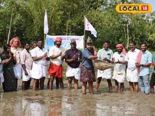 DYFI Angamaly Block Committee takes up paddy cultivation. DYFI Angamaly Block Committee takes up paddy cultivation.