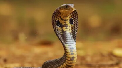 പ്രതീകാത്മക ചിത്രം പ്രതീകാത്മക ചിത്രം