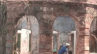 (IMAGE: DHAKA TRIBUNE)