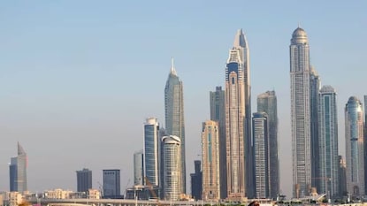 പദ്ധതിക്ക് നേതൃത്വം നല്കിയത് ദുബായ് മുനിസിപ്പാലിറ്റി പദ്ധതിക്ക് നേതൃത്വം നല്കിയത് ദുബായ് മുനിസിപ്പാലിറ്റി