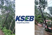 വൈദ്യുതാഘാതമേറ്റ് മരണം കൂടുന്നു; അതിരാവിലെ പുറത്തിറങ്ങുന്നവര്‍ തികഞ്ഞ ജാഗ്രത പുലർത്തണമെന്ന് കെ എസ് ഇ ബി