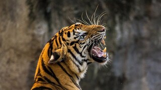 പ്രതീകാത്മക ചിത്രം