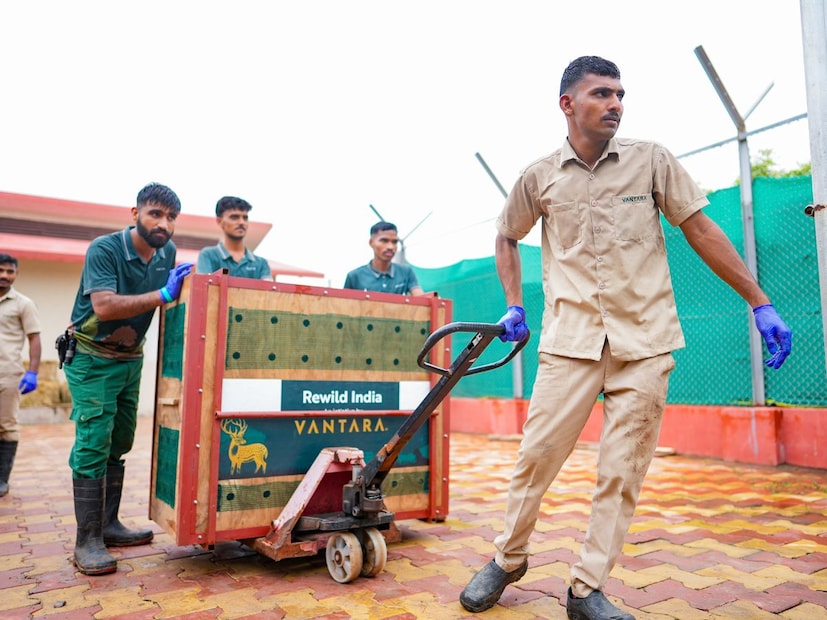  ഇന്ത്യയിലെ ഏറ്റവും വലിയ കമ്പനികളിലൊന്നായ റിലയന്‍സ് ഇന്‍ഡസ്ട്രീസിന്റെ ബോര്‍ഡ് അംഗമായ അനന്ത് അംബാനി സ്ഥാപിച്ച വന്‍താര വന്യജീവി സംരക്ഷണ സംരംഭമെന്ന നിലയില്‍ ആഗോള ശ്രദ്ധ നേടിയിട്ടുണ്ട്.