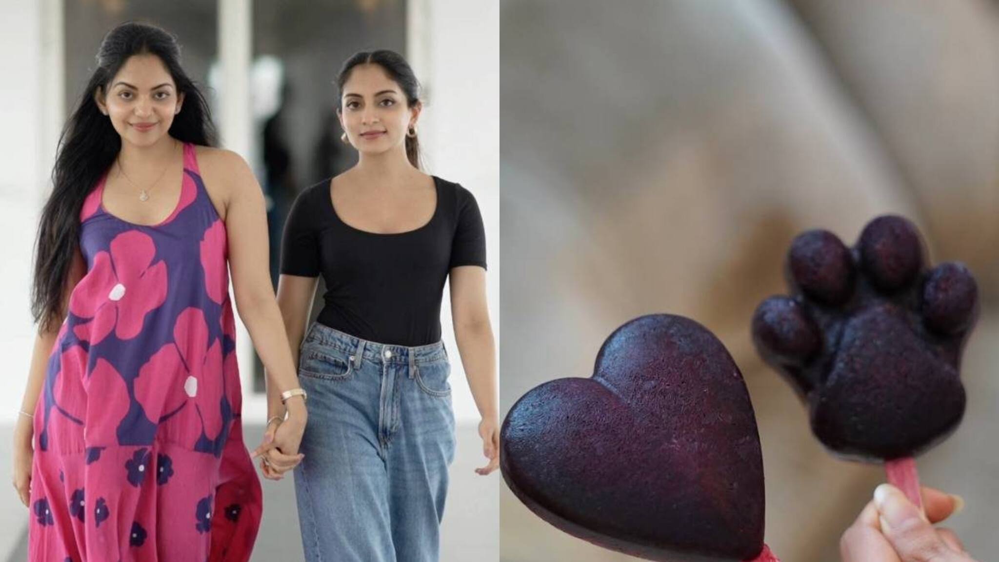 Ahaana Krishna | കൃഷ്ണകുമാറിനും ദിയക്കും പങ്കില്ല; അഹാനയും അമ്മയും രണ്ടു സഹോദരിമാരും ചേർന്ന് പ്ലാനിട്ട സർപ്രൈസ് പൊളിച്ച് ആരാധകർ