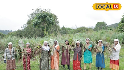 ആറളത്ത് കൃഷി ചെയ്യുന്ന സ്ത്രീകൾ