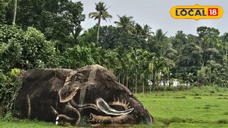 ചിത്രകാരനായ വേങ്ങൂർ സ്വദേശി ജയനാണ് കരിവീരന് ചായം പകർന്നത്. ചിത്രകാരനായ വേങ്ങൂർ സ്വദേശി ജയനാണ് കരിവീരന് ചായം പകർന്നത്.