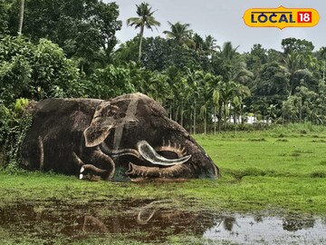 ചിത്രകാരനായ വേങ്ങൂർ സ്വദേശി ജയനാണ് കരിവീരന് ചായം പകർന്നത്.