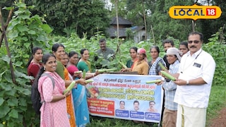 ഓണകനി വിളവെടുപ്പ് നടത്തി കുടുംബശ്രീ അംഗങ്ങൾ 