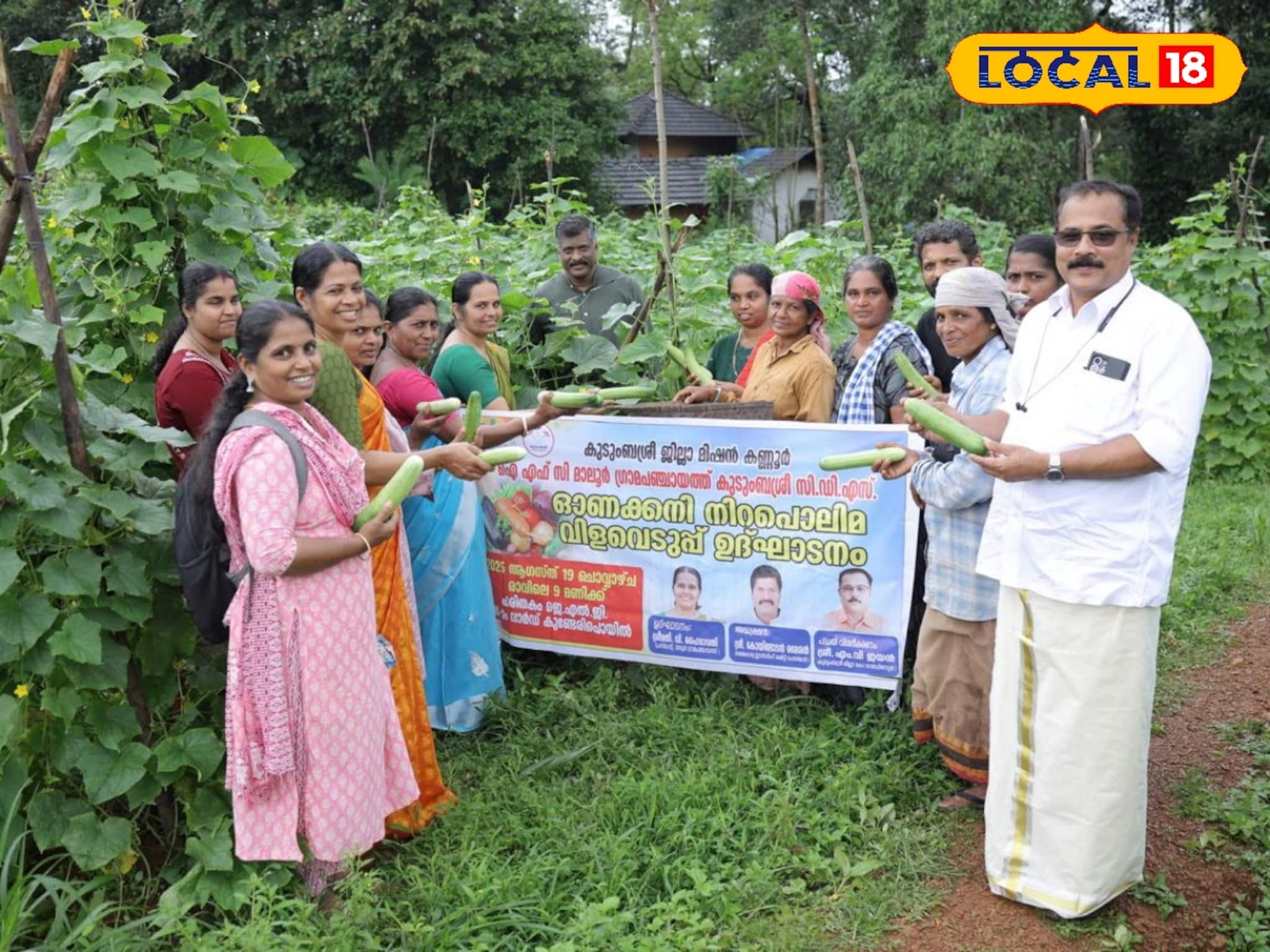 പച്ചക്കറി, വാഴ, ചേന, ചേമ്പ്… ഓണകനി വിളവെടുപ്പ് കണ്ണൂരിൽ ആരംഭിച്ചു