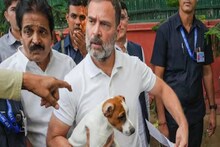 സുപ്രീം കോടതിയുടെ തെരുവുനായ നിയന്ത്രണ ഉത്തരവിനെതിരെ രാഹുൽ ​ഗാന്ധി