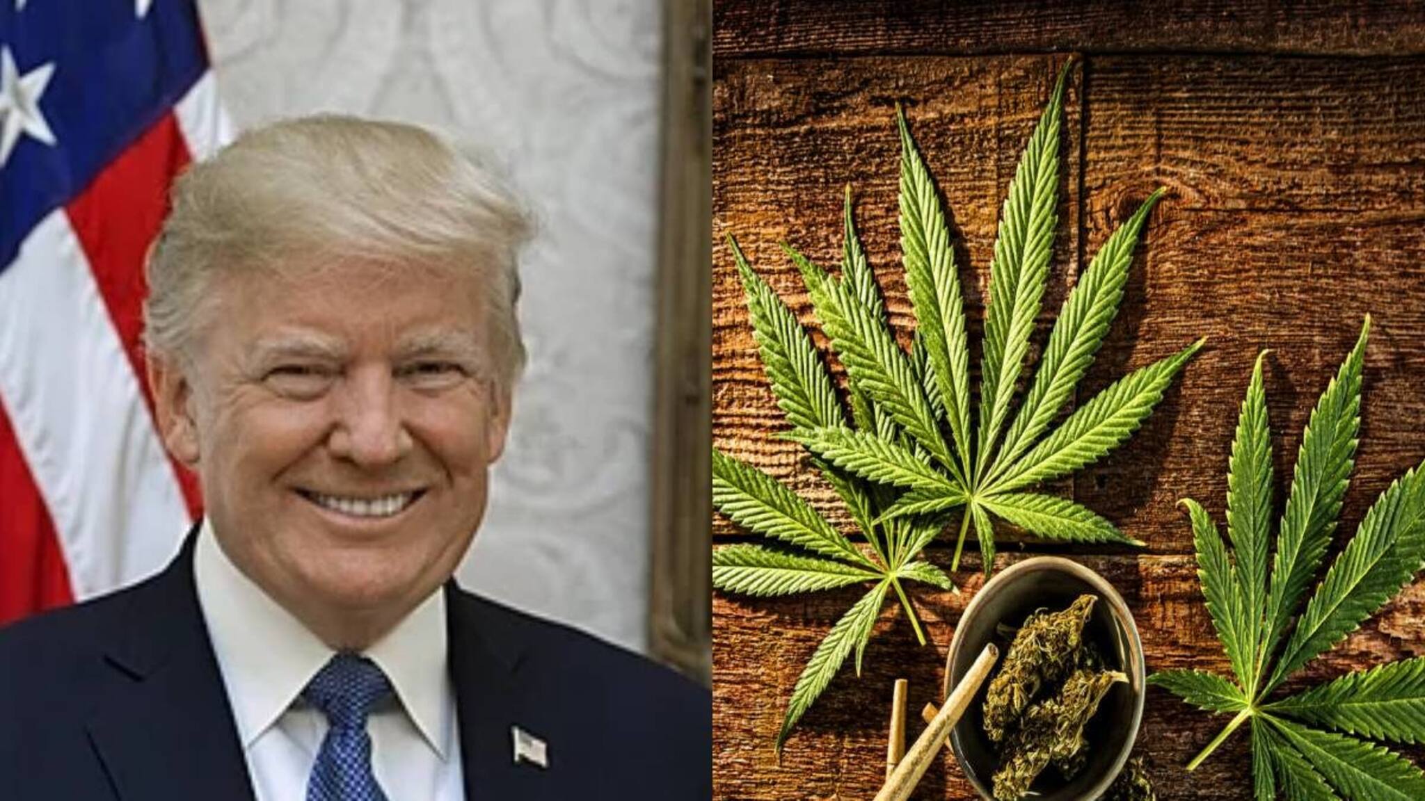 കഞ്ചാവിനെ  ട്രംപ്  അപകടകരമല്ലാത്ത ലഹരികളുടെ കൂട്ടത്തിലേക്ക് ഉള്‍പ്പെടുത്തിയേക്കും