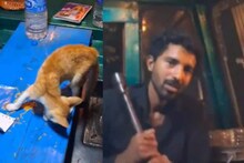 പൂച്ചയെ കൊന്ന് ഇൻസ്റ്റഗ്രാമിൽ പോസ്റ്റ് ചെയ്ത സംഭവത്തിൽ യുവാവിനെതിരെ കേസെടുത്തു