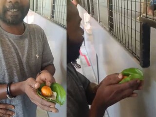 വൈറലായ ദൃശ്യങ്ങളിൽ നിന്ന്