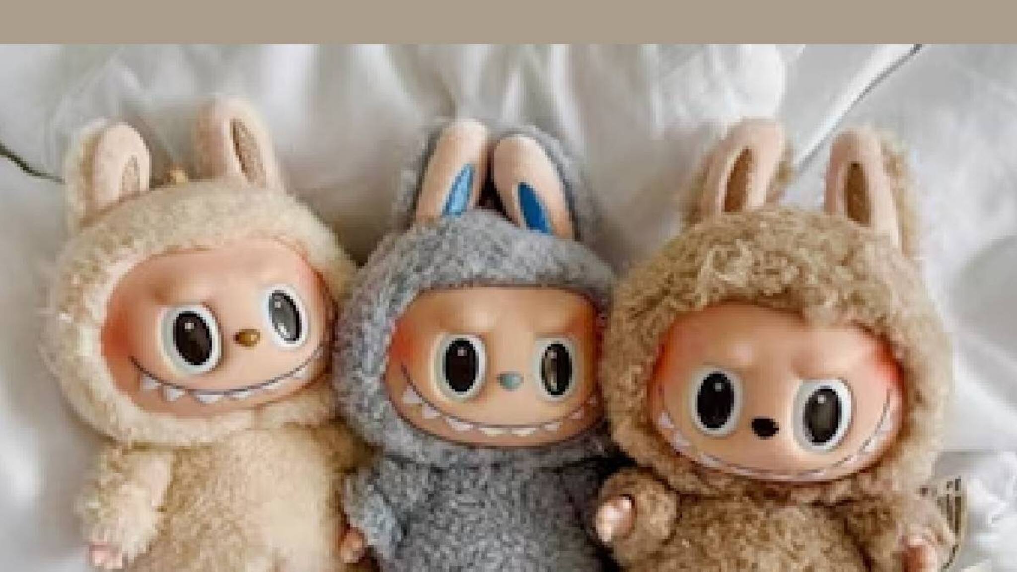 പാവ കൊടുത്തില്ല; ബന്ധുവീട്ടിലെത്തിയ കുട്ടി 48 ലക്ഷം രൂപ വിലമതിക്കുന്ന വസ്തുക്കള്‍ തകർത്തു