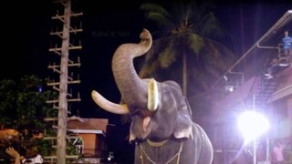 ഈരാറ്റുപേട്ട അയ്യപ്പൻ (ഫോട്ടോ: ഫേസ്ബുക്ക്) ഈരാറ്റുപേട്ട അയ്യപ്പൻ (ഫോട്ടോ: ഫേസ്ബുക്ക്)