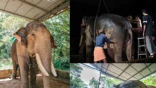 പുതുപ്പള്ളി സാധു പുതുപ്പള്ളി സാധു