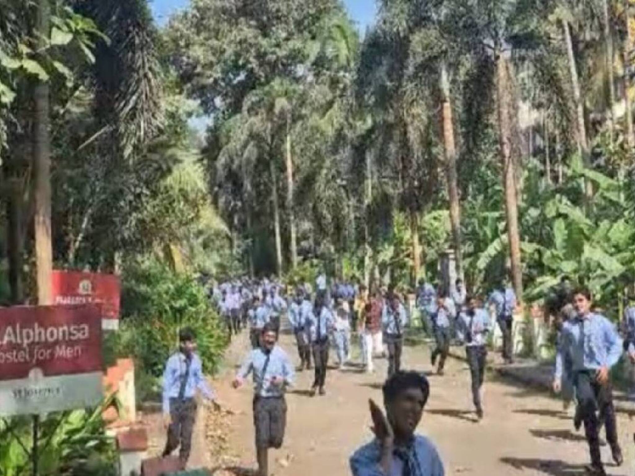 കോട്ടയത്ത് ഓണാഘോഷത്തിനിടെ കടന്നൽ ആക്രമണം; വിദ്യാർത്ഥികളും അധ്യാപകനുമടക്കം നൂറോളം പേർക്ക് കുത്തേറ്റു