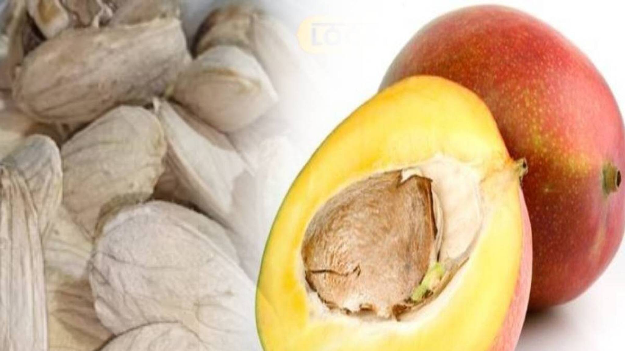 മാങ്ങാണ്ടിയുടെ അദ്‌ഭുതഗുണങ്ങൾ ഒട്ടേറെ; ലൈംഗിക ഉത്തേജനത്തിനും ഉത്തമമെന്ന് വിശ്വാസം; ഉപയോഗിക്കേണ്ടതെങ്ങനെ?