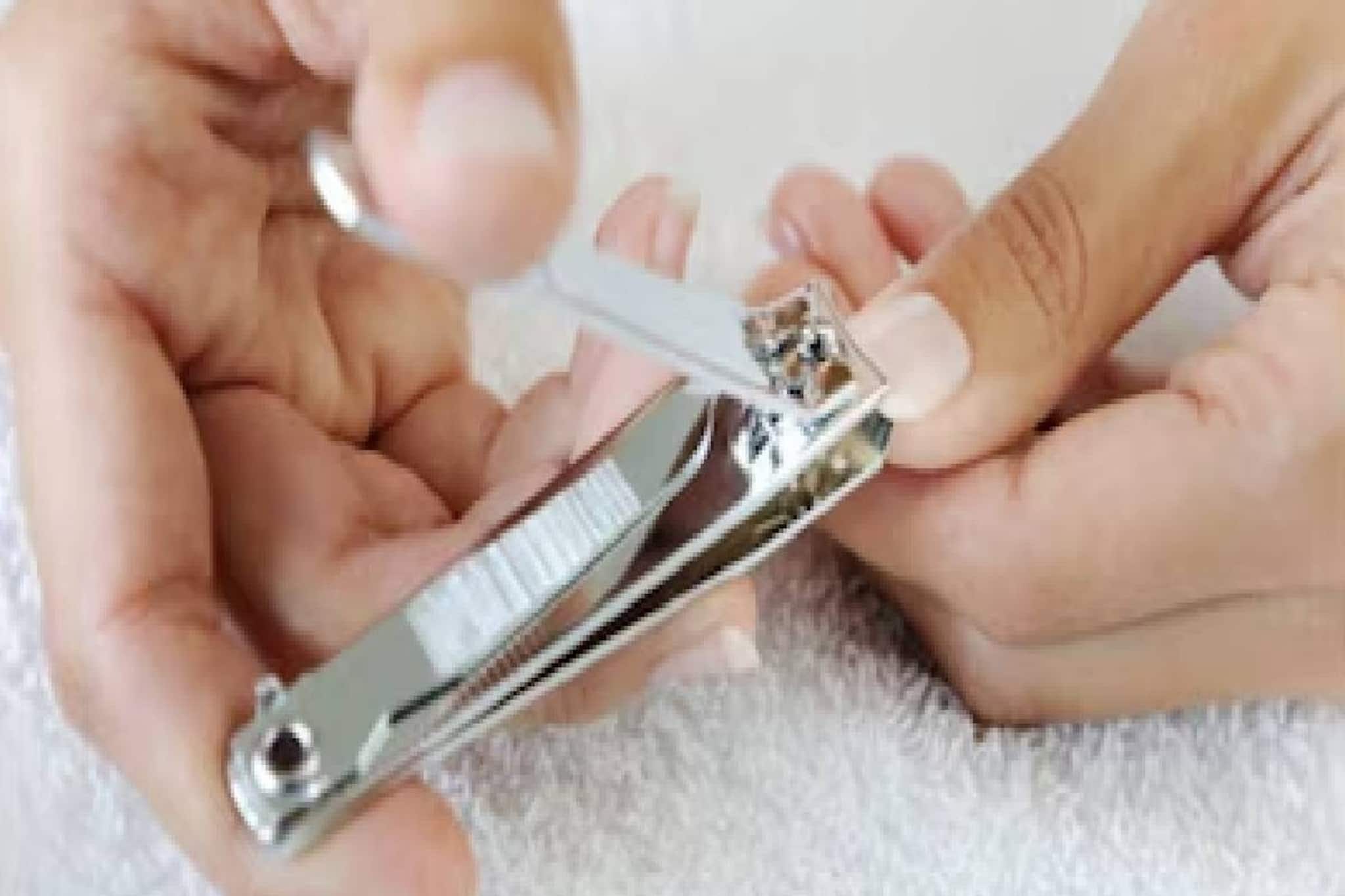 ഇതൊക്കെ എങ്ങനെ? സ്റ്റീല്‍ ഉത്പാദനത്തില്‍ മുന്നിലുള്ള ഇന്ത്യ നഖം വെട്ടാനുള്ള നെയില്‍ കട്ടറുകള്‍ ഇറക്കുമതി ചെയ്യുന്നു