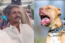 പൊതുടോയ്‌ലറ്റിലേക്ക് പോയ ആളെ അയൽവാസിയുടെ നായ തുടയിലും സ്വകാര്യഭാഗത്തും കടിച്ചു കൊന്നു