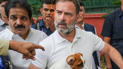 രാഹുൽ ഗാന്ധി (PTI file Image) രാഹുൽ ഗാന്ധി (PTI file Image)