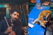 കൊടും ക്രൂരത! പൂച്ചയെ കൊന്ന് തലയും ശരീര അവയവങ്ങളും വേർതിരിച്ച് ഇൻസ്റ്റഗ്രാം സ്റ്റോറിയിട്ട് യുവാവ്