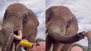 (വീഡിയോ ദൃശ്യം) (വീഡിയോ ദൃശ്യം)