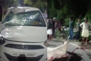 രാത്രി സവാരിക്കിടെ കൊച്ചിയിൽ കാറിടിച്ച് കുതിര ചത്തതിന് കുതിരക്കാരനെതിരെ കേസ്