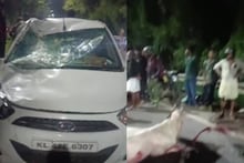 രാത്രി സവാരിക്കിടെ കൊച്ചിയിൽ കാറിടിച്ച് കുതിര ചത്തതിന് കുതിരക്കാരനെതിരെ കേസ്