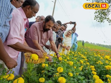 പുഞ്ചക്കരിയിലെ വിളവെടുപ്പ് 