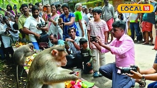 വനരക്കൂട്ടത്തിന് ഒരുക്കിയ ഓണസദ്യ 