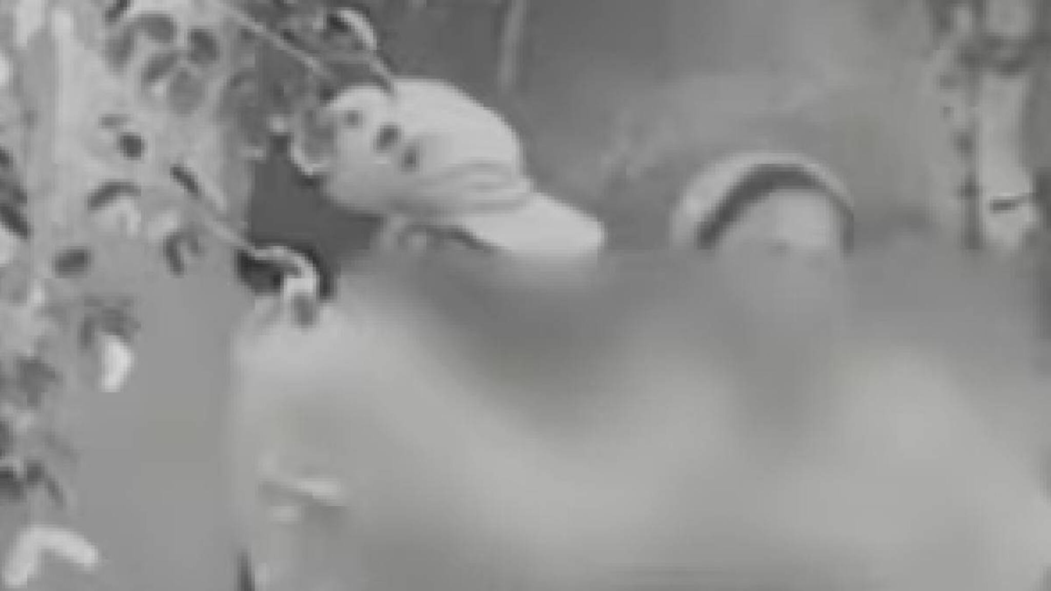 പിണങ്ങി കഴിയുന്ന ഭാര്യയെ കാണാൻ 175 കി.മീ യാത്ര; വാക്കുതര്‍ക്കത്തിനിടെ കഴുത്തറുത്ത് കൊല്ലാൻ ശ്രമിച്ച യുവാവ് അറസ്റ്റിൽ