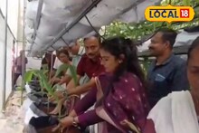 കേരളത്തില്‍ ആദ്യമായി പോളീഹൗസില്‍ കസ്തൂരിമഞ്ഞള്‍ കൃഷി; മാങ്ങാട്ടിടം യുവകര്‍ഷകരുടെ വിജയഗാഥ