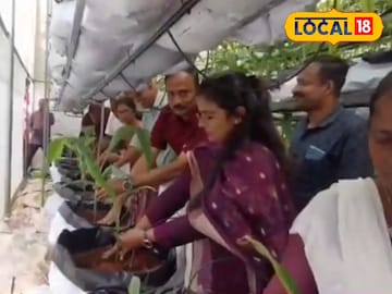 പോളീ