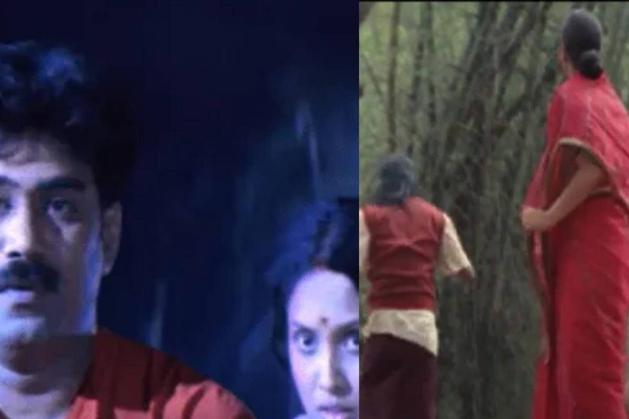 ബിജു മേനോൻ, ജ്യോതിർമയി സിനിമയിലെ നടി; ഭർത്താവിന്റെ 30 വർഷ പീഡനത്തിന് ശേഷം വിവാഹമോചനം നേടിയ താരം